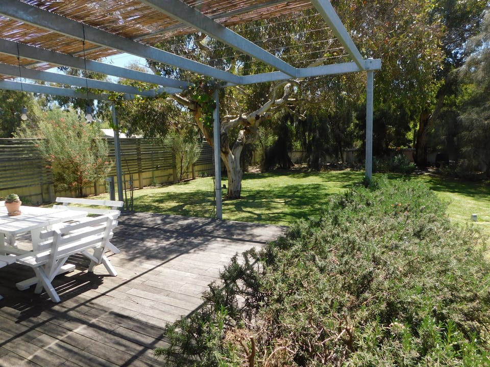 The backyard and lower northside deck