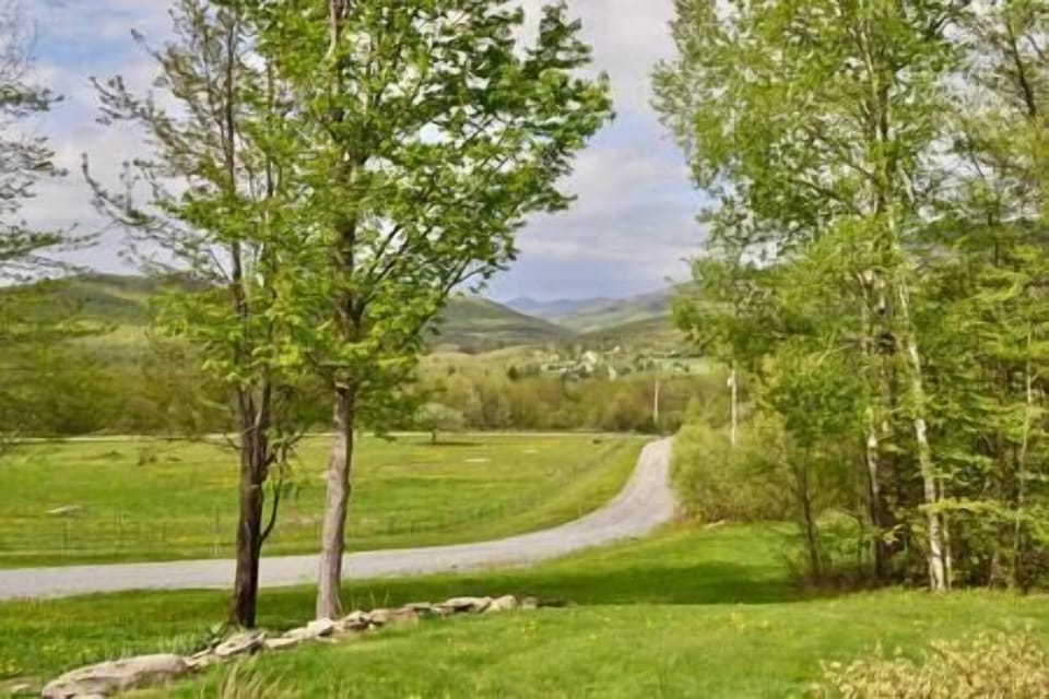 View from the front porch (2)
