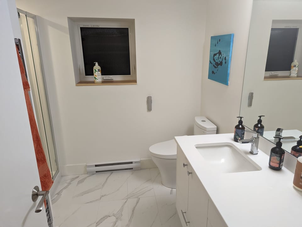 Lower bathroom/shower room
