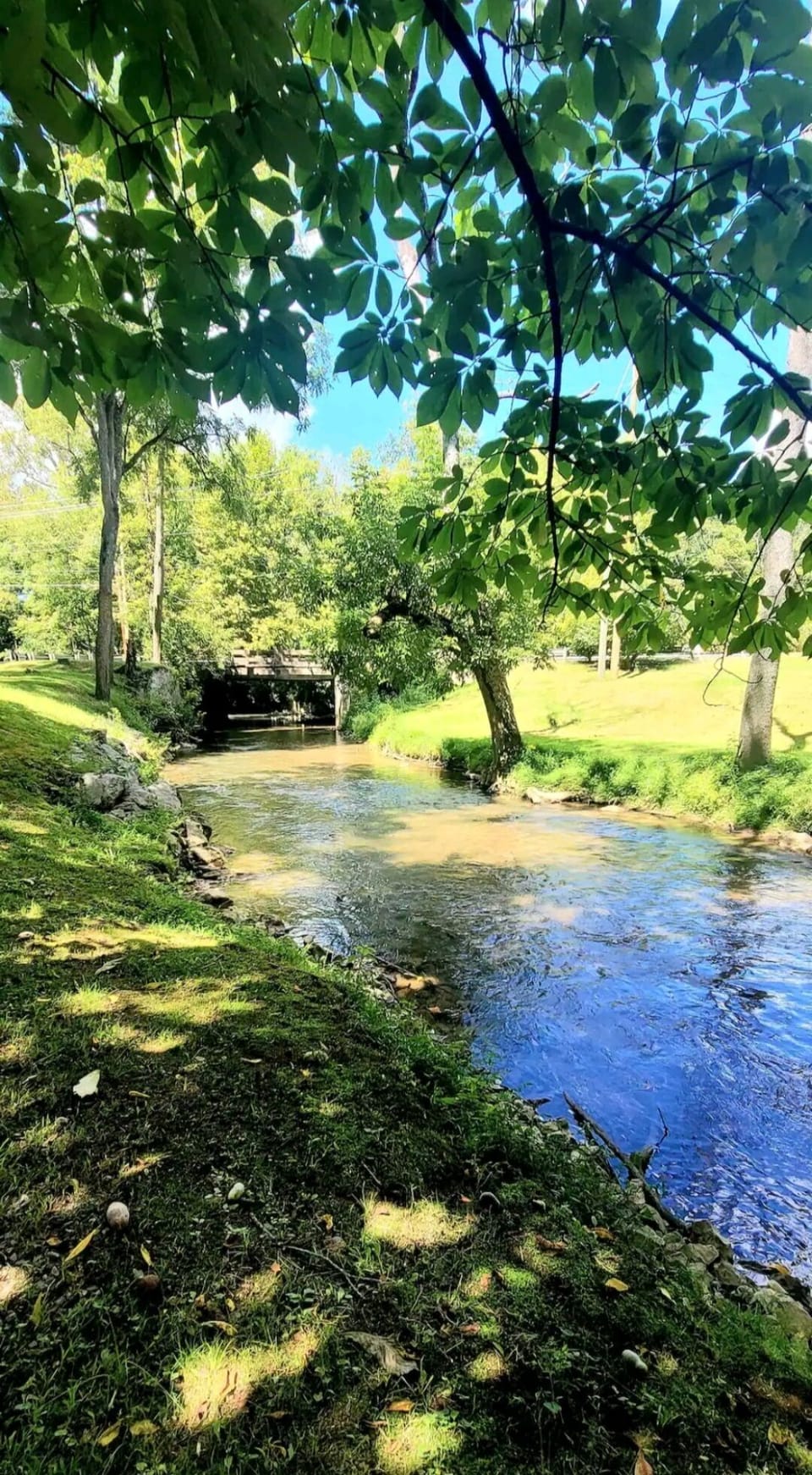 Creekside Relaxation