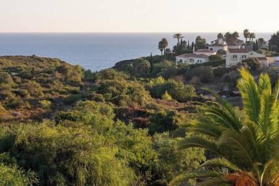 Sea view (1)