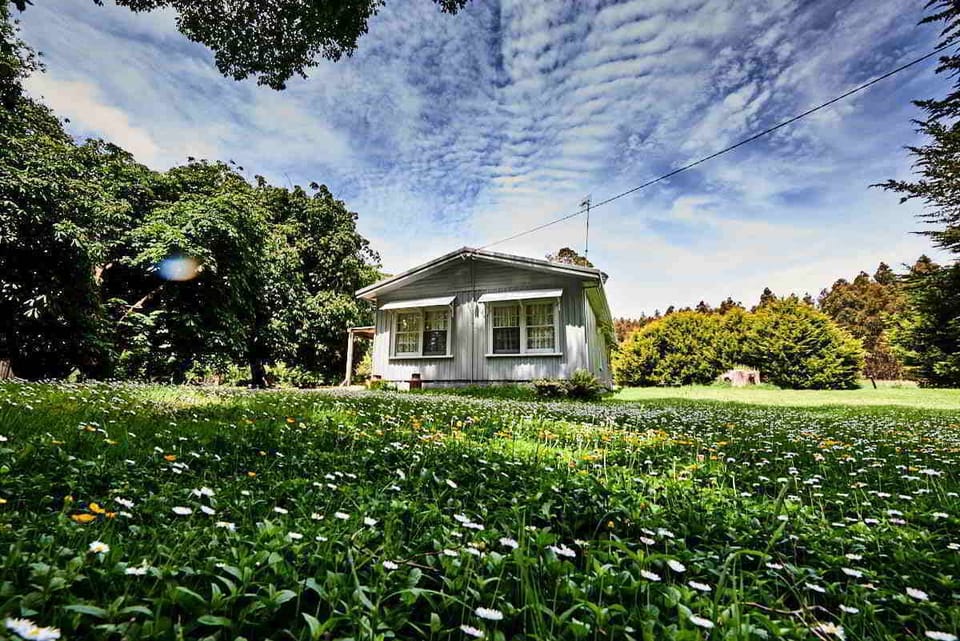 Open space surrounds the cottage.