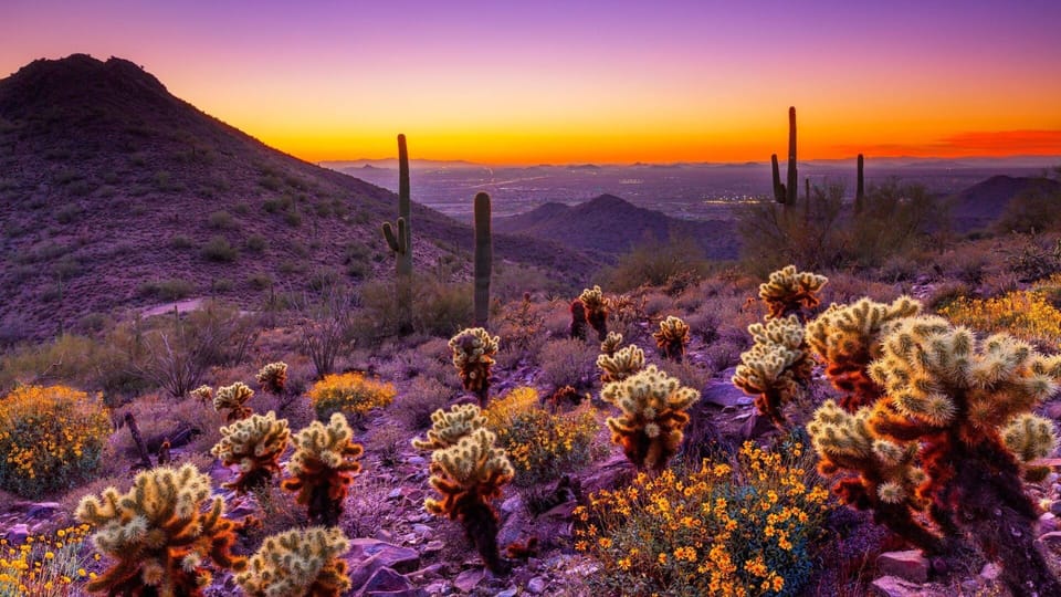 Create lasting memories with Friends and family at stunning Pomona Oasis.