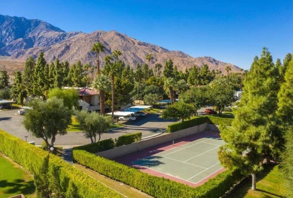 Sport court