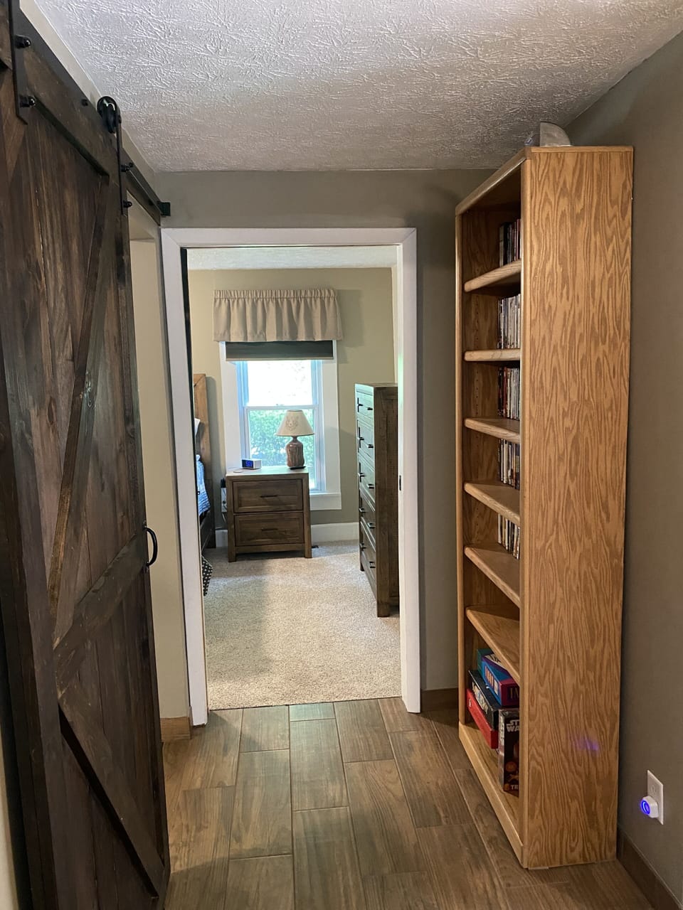 Bookcase holds games and over 310 DVDs