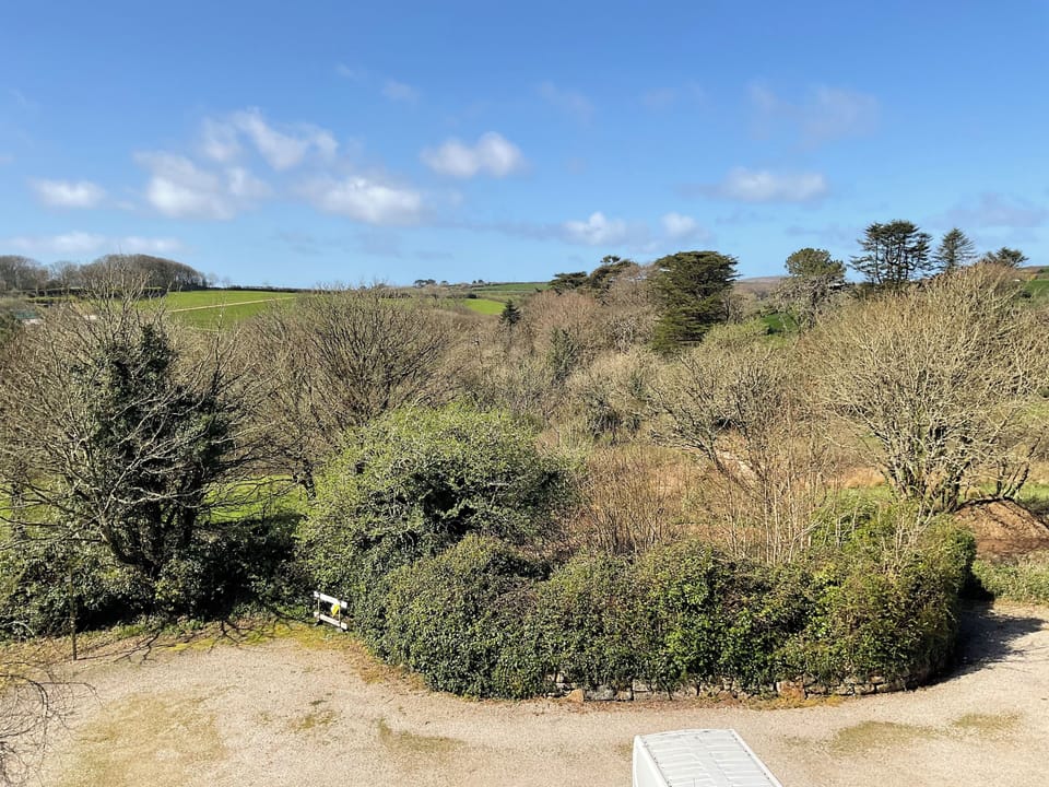 View from cottage