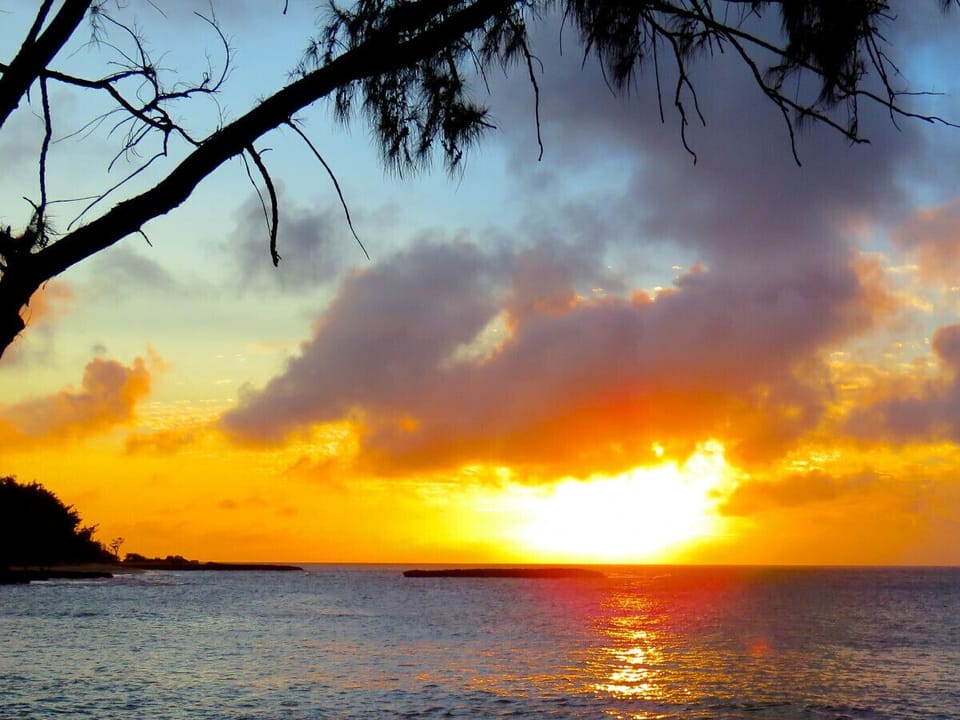 Sunset sky glowing in warm tones framed by treetops.