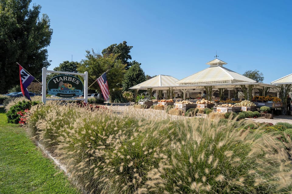 Harbes Family Farm with food, wine, and family activities