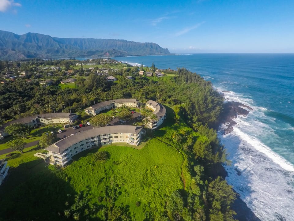 Ariel View of Ali'i Kai