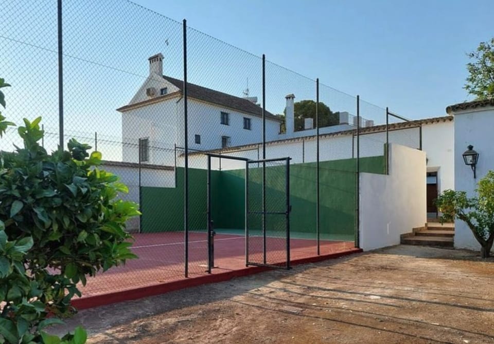 Sport court