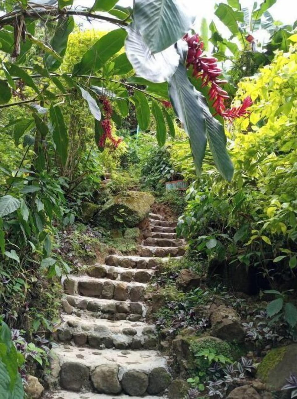 stone steps and flowers