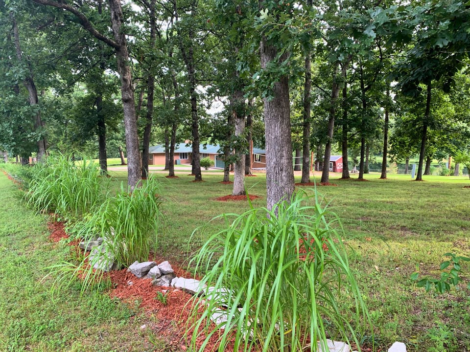 Front view of side yard