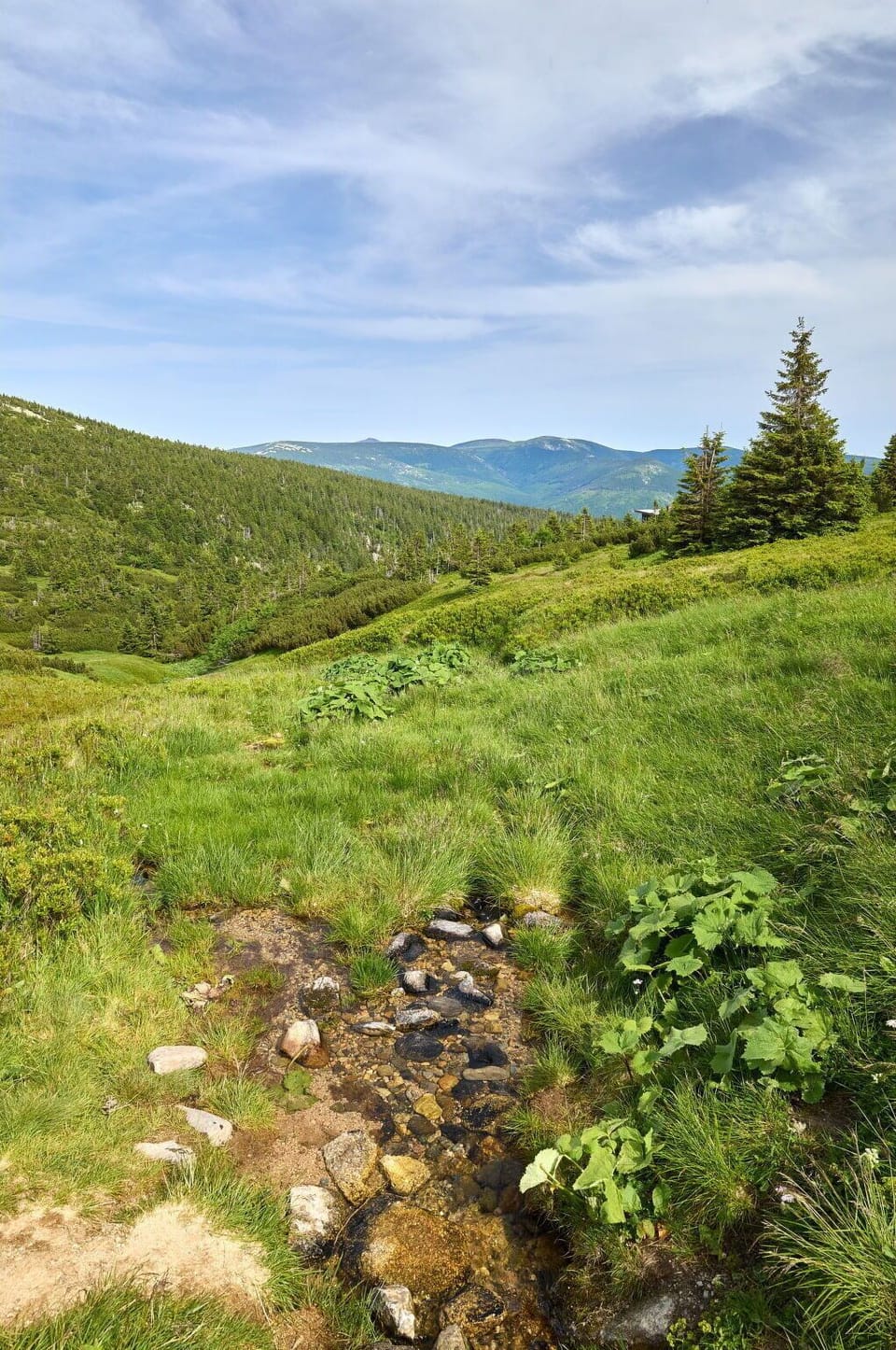 Cloud, Sky, Plant, Mountain, Natural Landscape, Tree, Grassland, Landscape, Mountainous Landforms, Groundcover