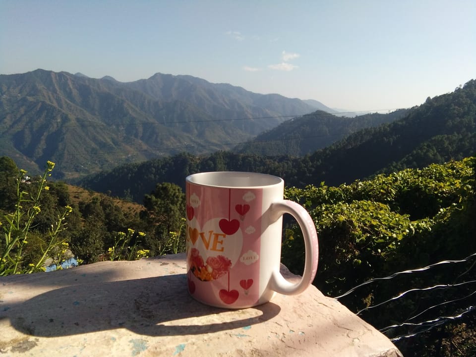 View from property