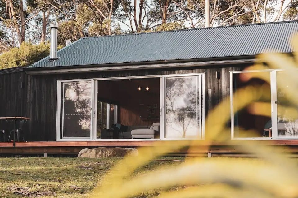 Seagrass on Sunset Bay