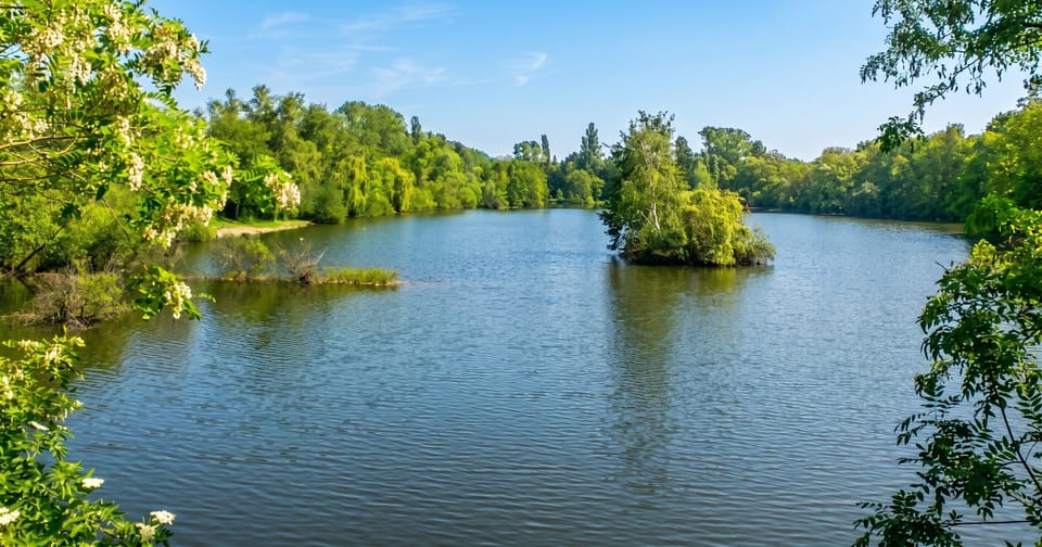 Lake view
