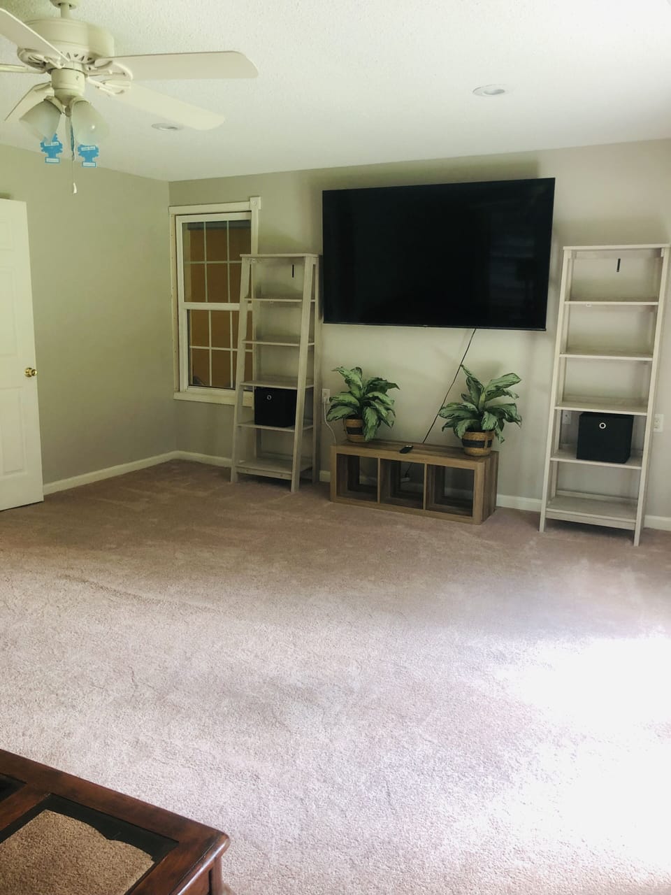 Man cave/ theatre room.