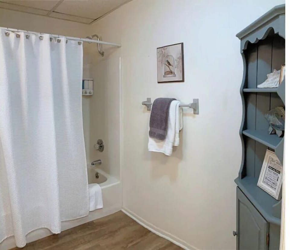 Lower level full bath