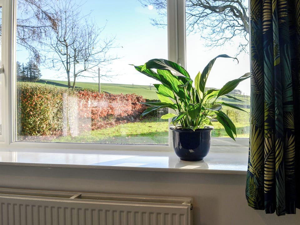 View | Cowar Bothy, Dalbeattie