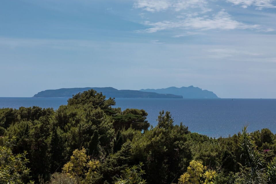Scenic View, Summer