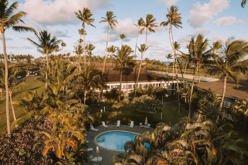 Escape above it all with sweeping resort-and-palm views.