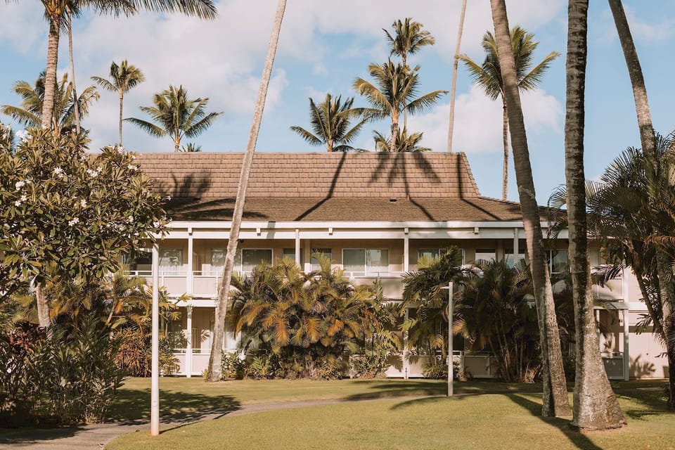 Arrive to a serene retreat framed by towering palm trees.