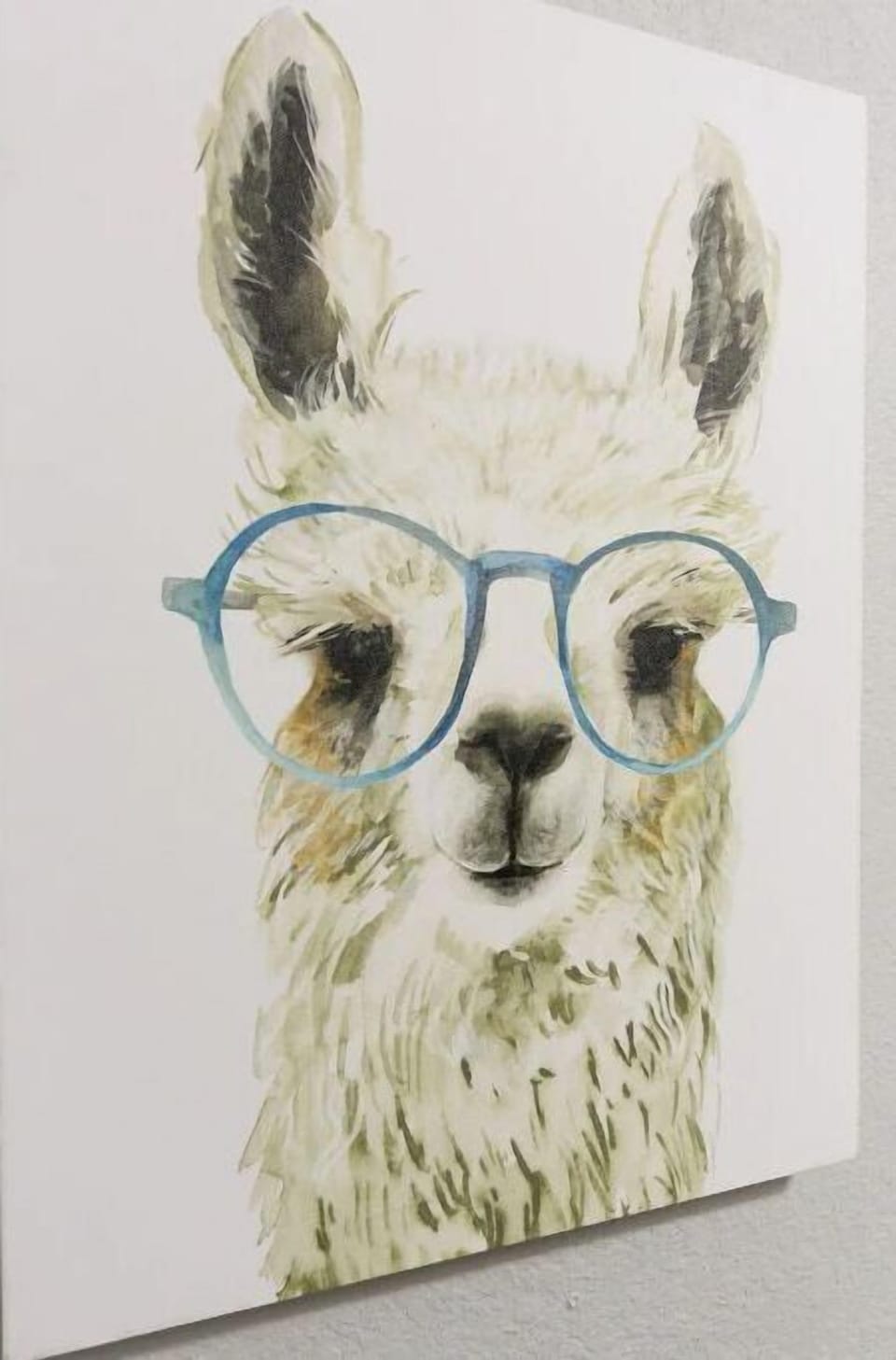 Cute llama pic!