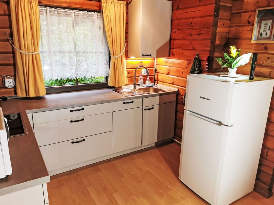 Cabinetry, Plant, Countertop, Drawer, Window, Kitchen, Wood, Sink, Curtain, Interior Design