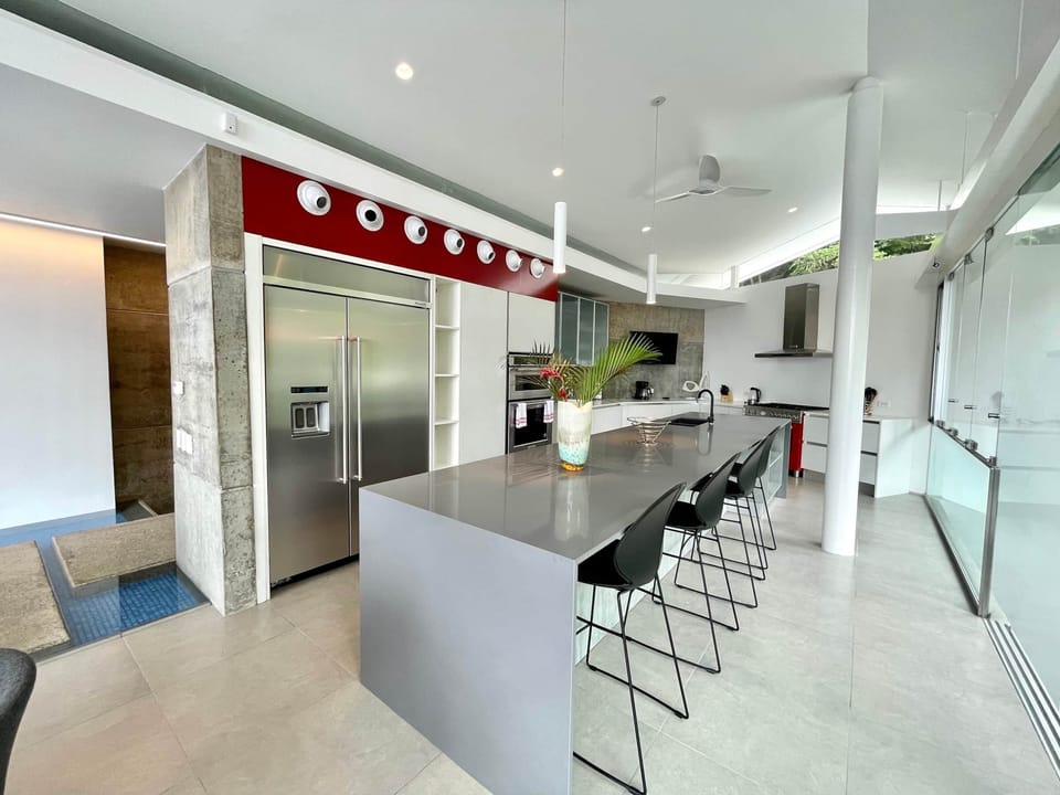 State of the art Chef's kitchen