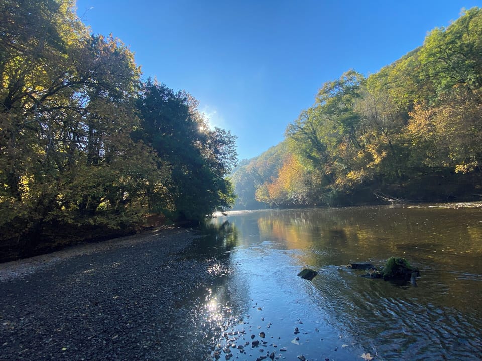 Gite metres from the beautiful Vezere river, walks canoeing, swimming, picnic .