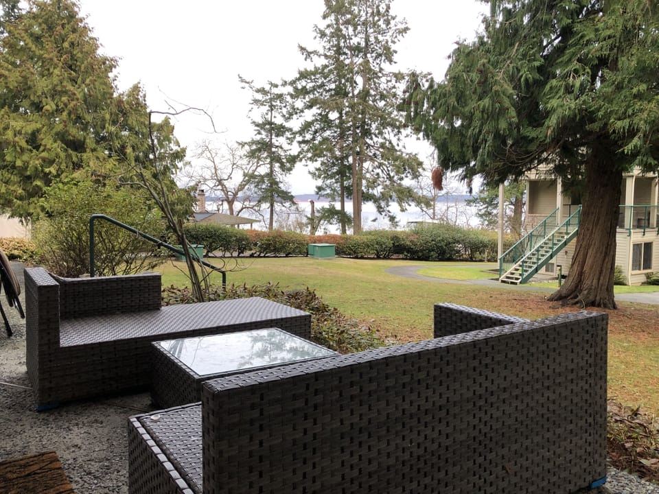 The view from the patio. 