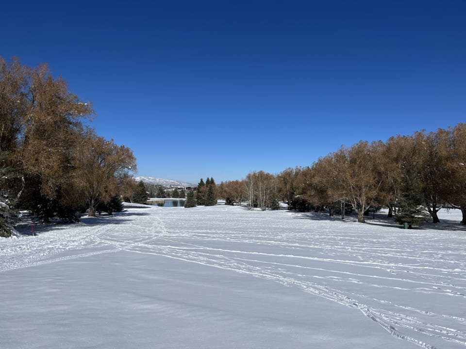 Cross country ski and snowshoe track in backyard on PC muni course