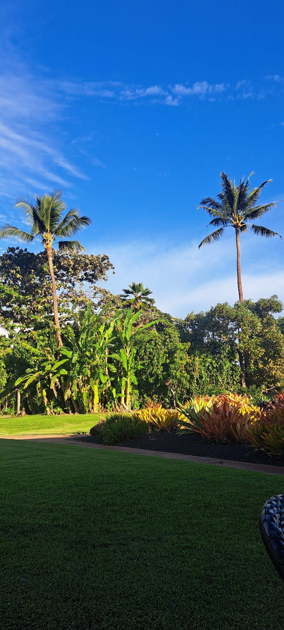 lush gardens