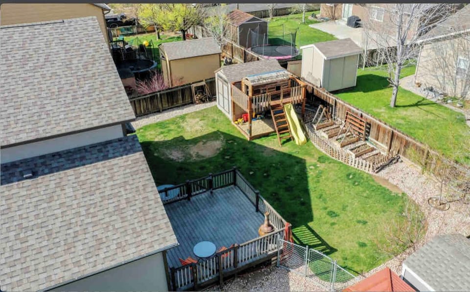 Backyard