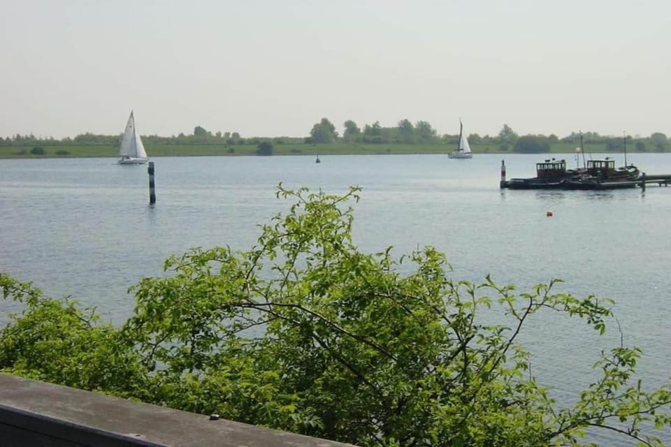 Region [summer] (>5 km)