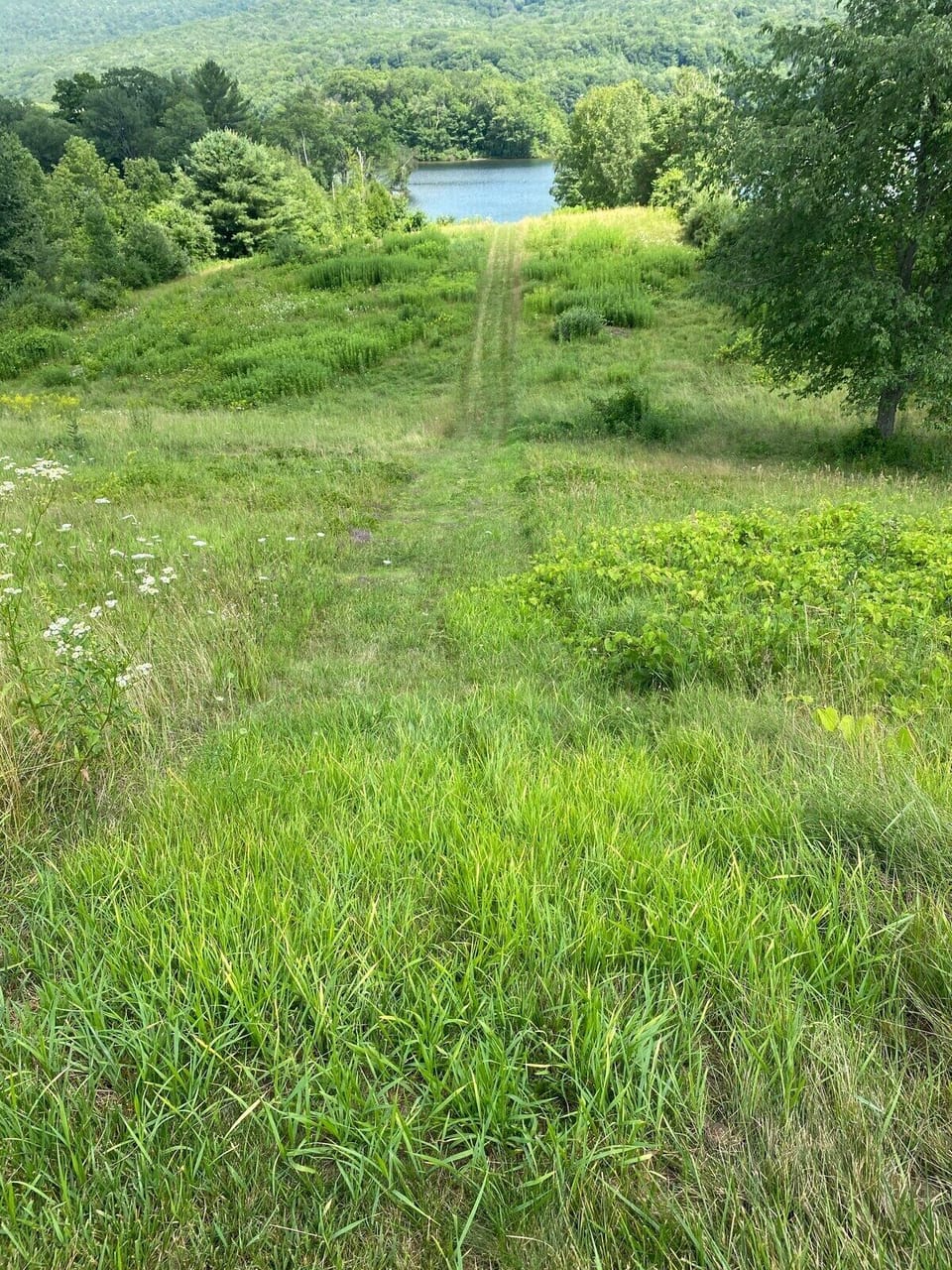 2 routes to walk from the house to the lake. This is the direct but more steep route.