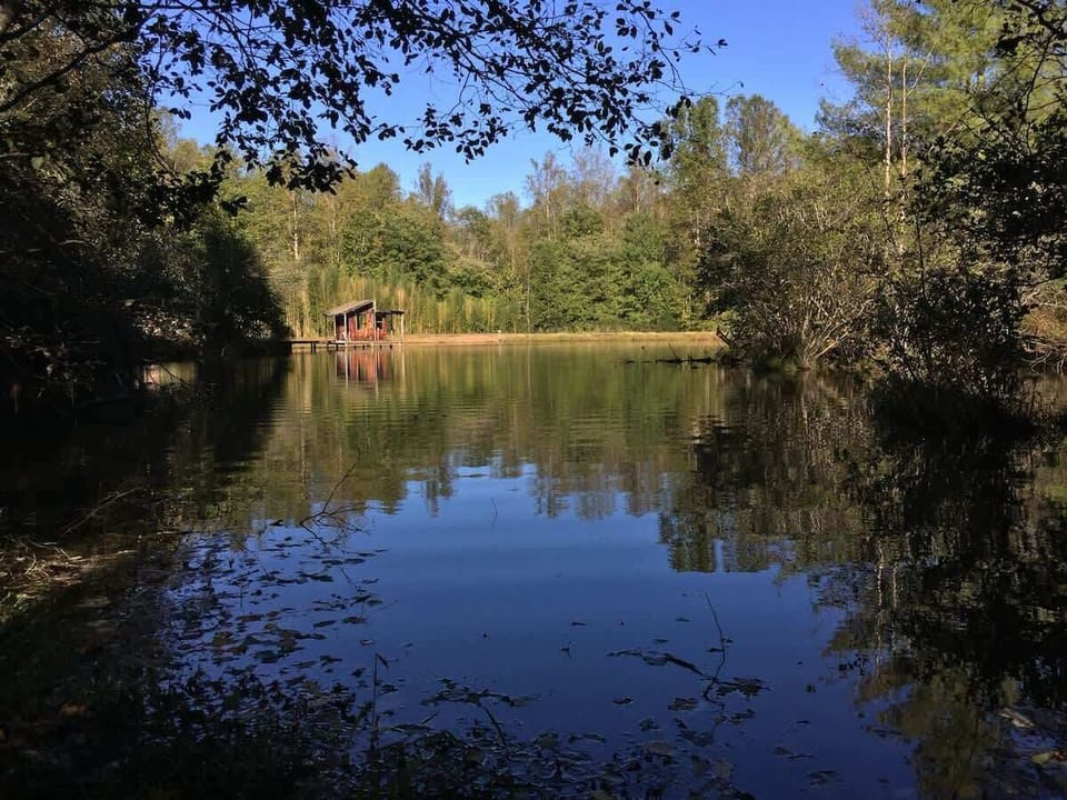 There is a short 1/5 mile loop around our lake if you want to take a stroll.