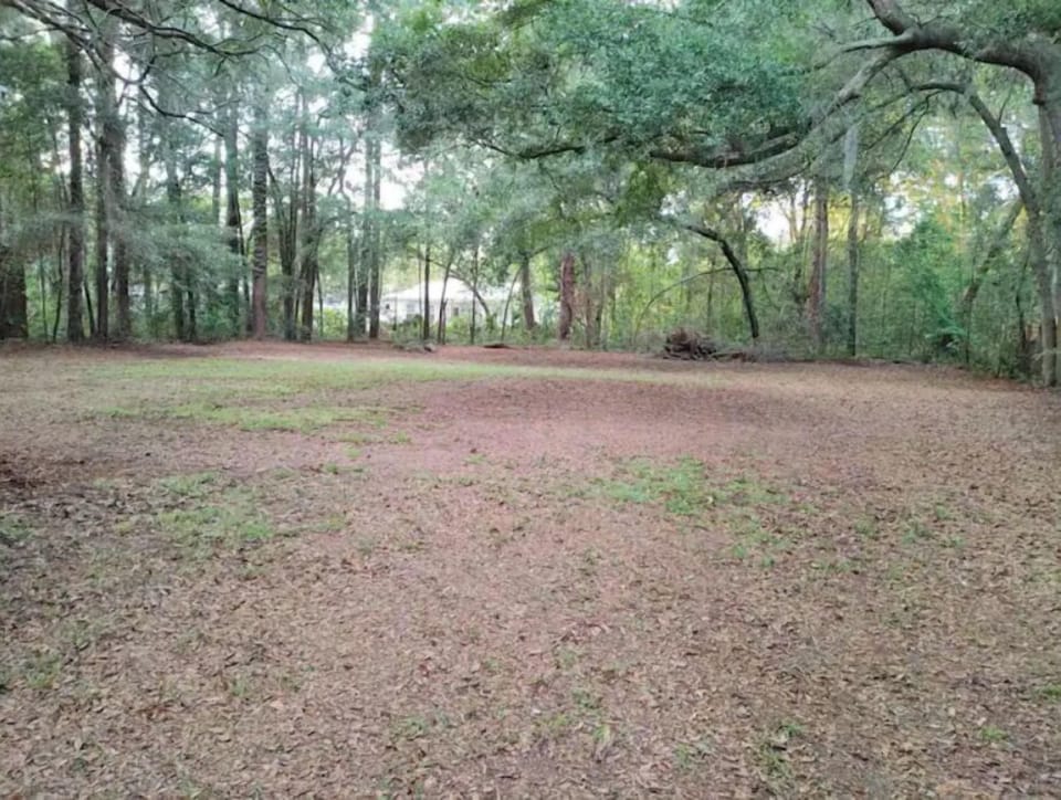 Large back yard for dog walking etc.