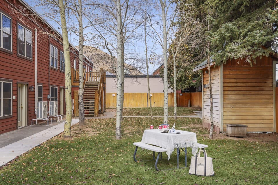 Outdoor Common Backyard
