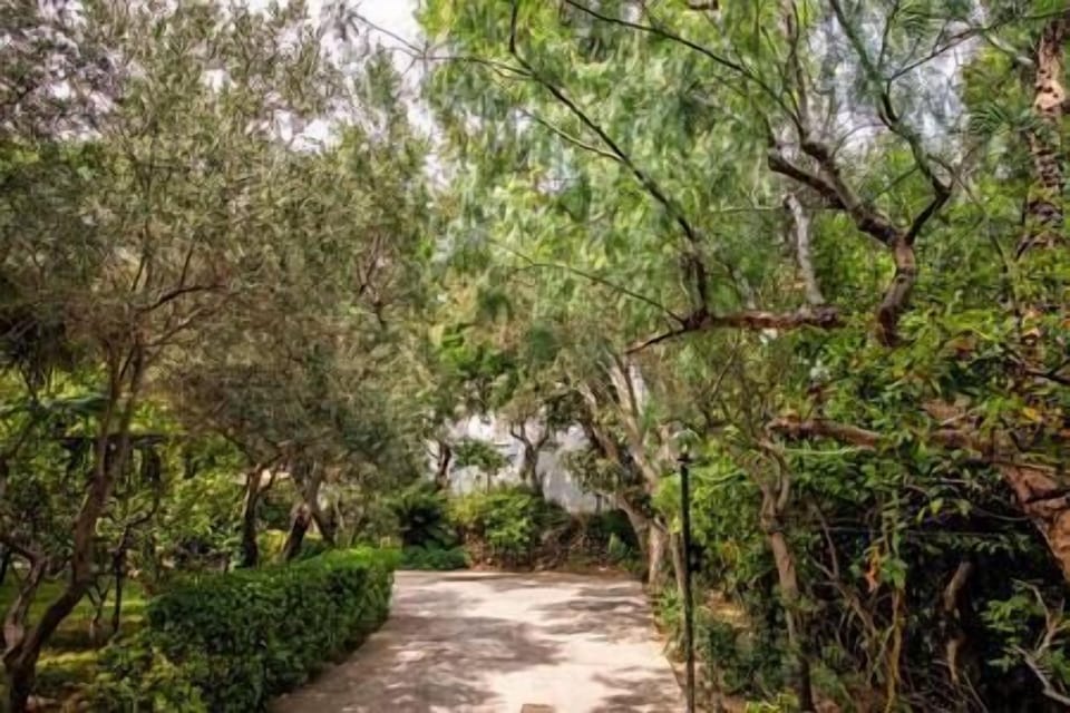 VIALE PRIVATO NEL PARCO CIRCOSTANTE ED ACCESSO ALLA VILLETTA (2)