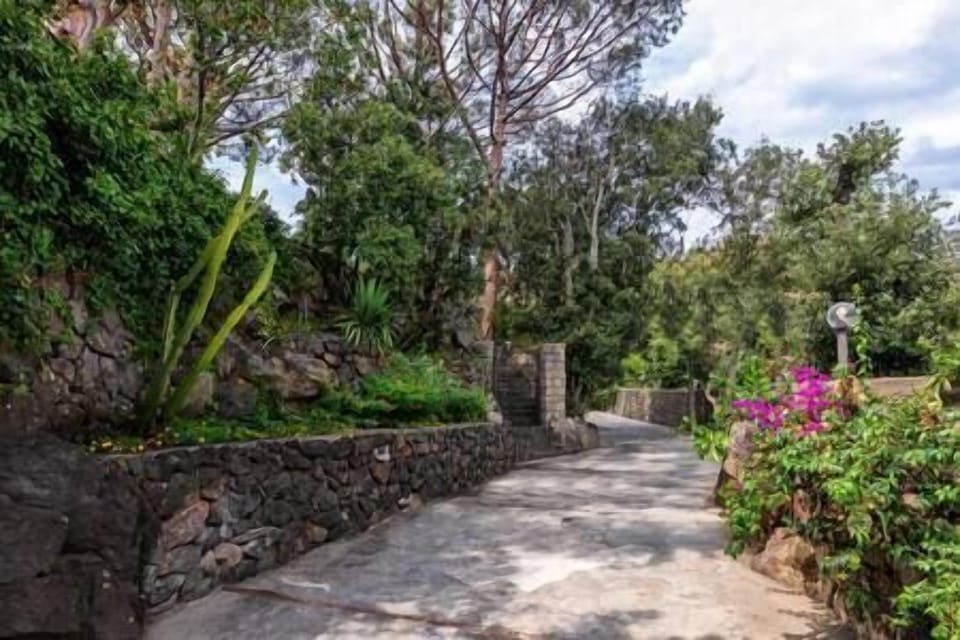VIALE PRIVATO NEL PARCO CIRCOSTANTE ED ACCESSO ALLA VILLETTA (1)