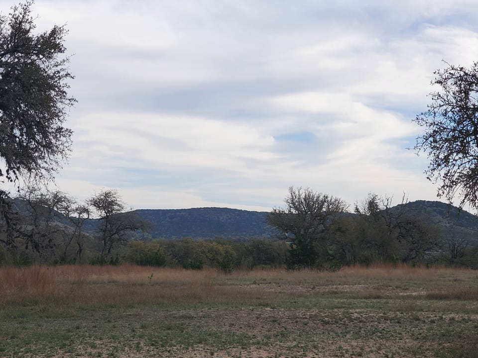 View from the front of The Hunter's Cabin. 
The Hills!
