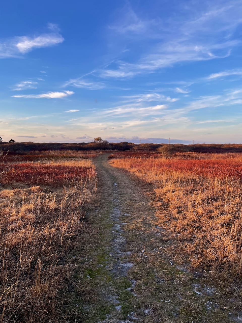Long pond loop hiking trail- 5 minute walk from house.