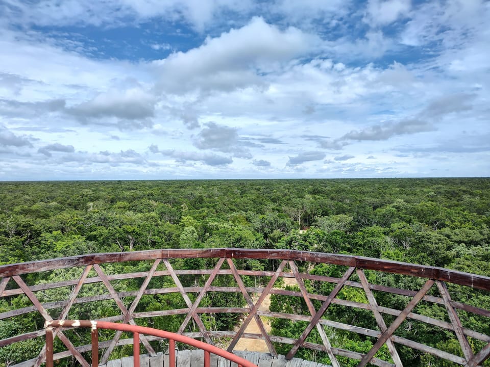 View from Jungle tower