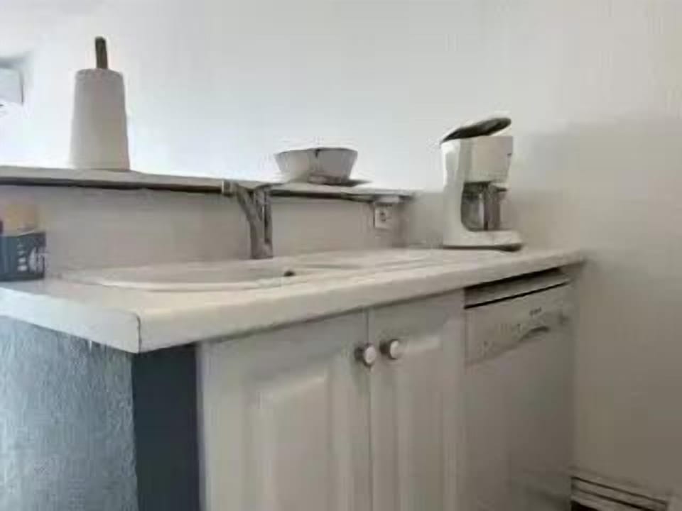Fridge, dishwasher, cookware/dishes/utensils