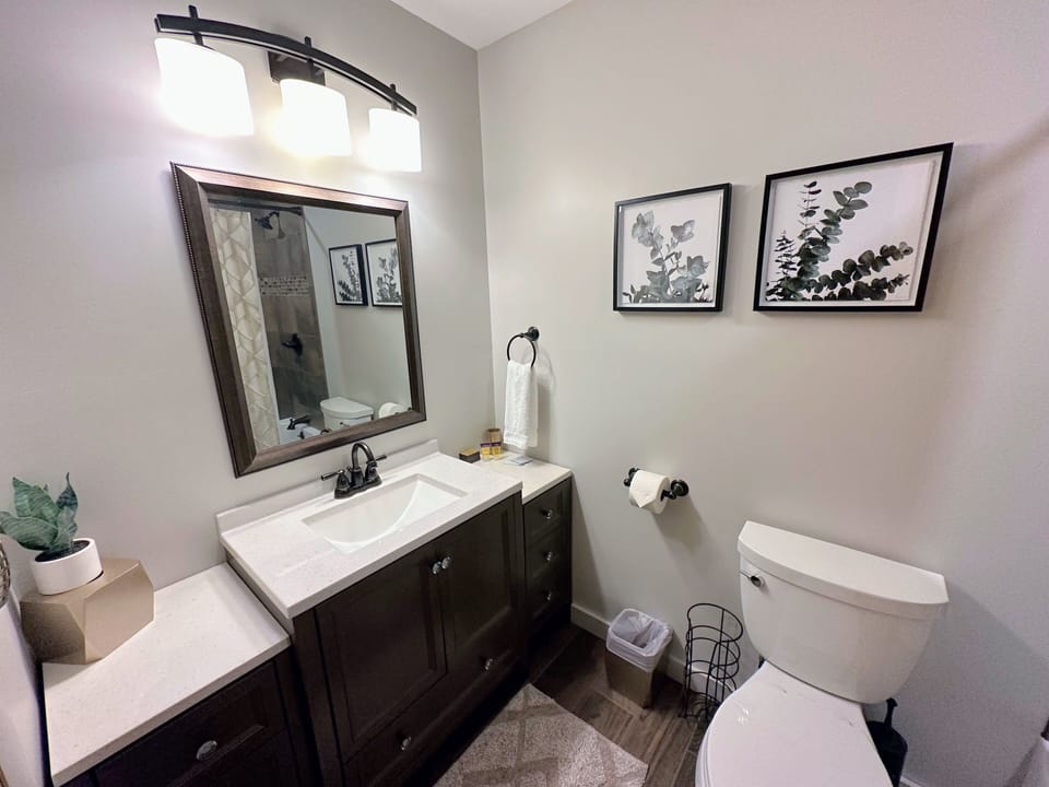 Main level Queen ensuite bath with shower