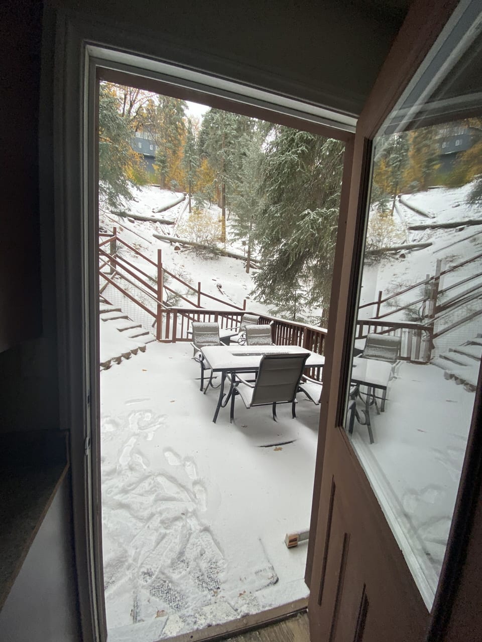 Backyard view