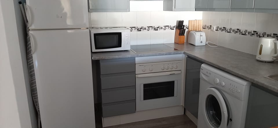 Full size oven, hob, microwave and fridge/freezer