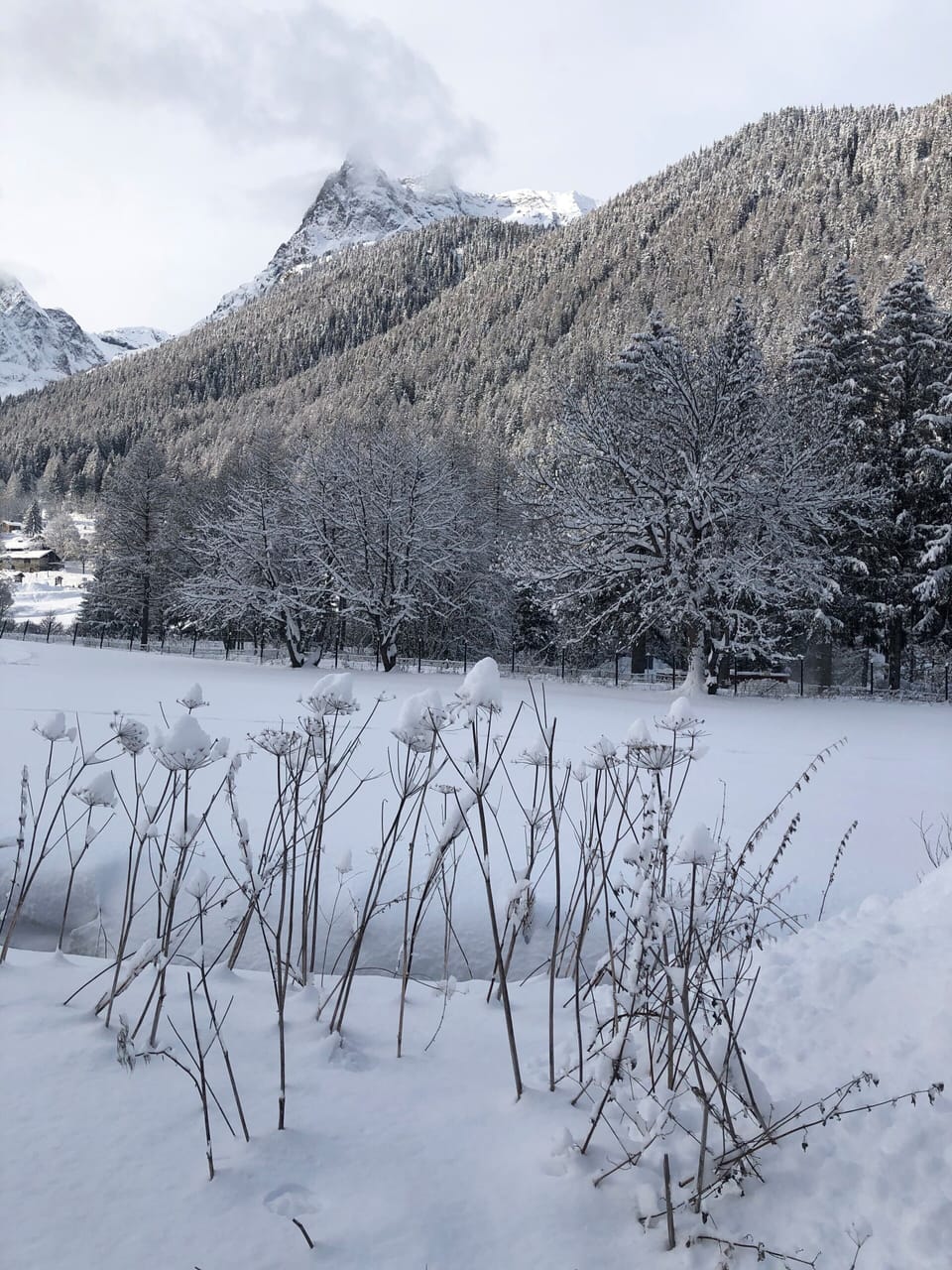 Snow and ski sports