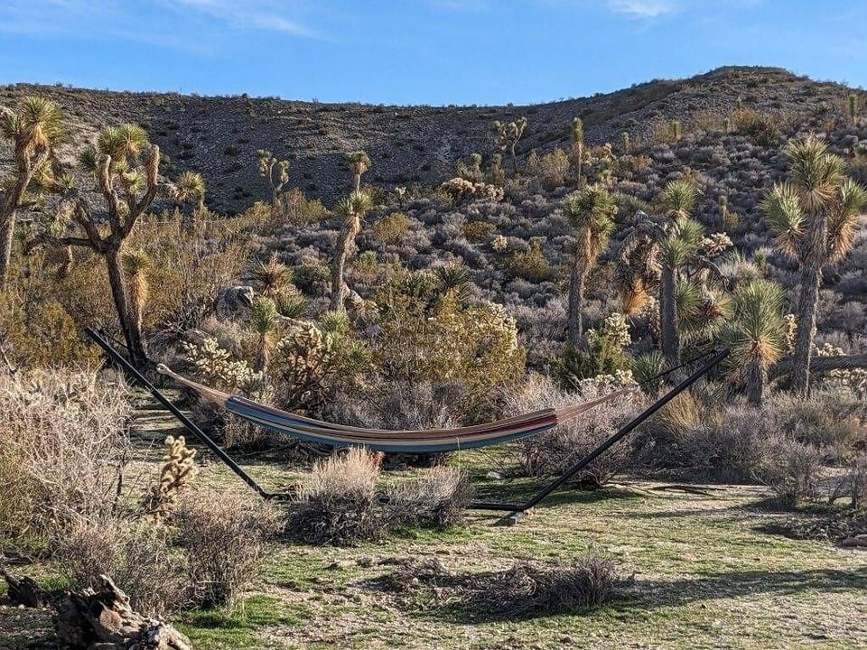 The property runs all the way up to the hill past the fence.